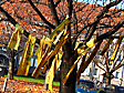 "mein langer kamp" - Installation
