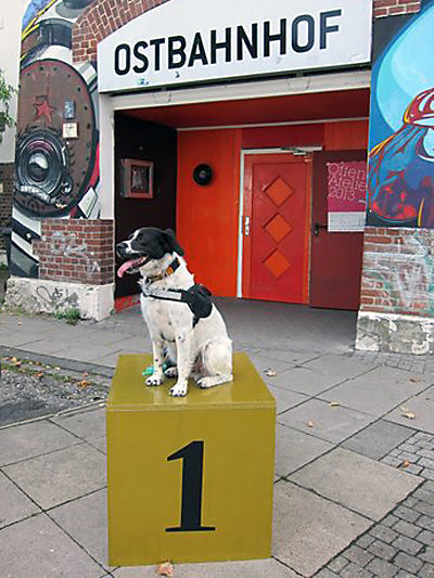 no. 1